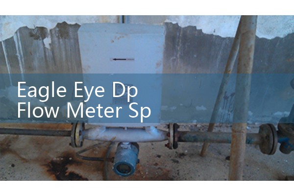 Eagle Eye Dp Flow Meter Specifications: Accurate Differential Pressure Testing